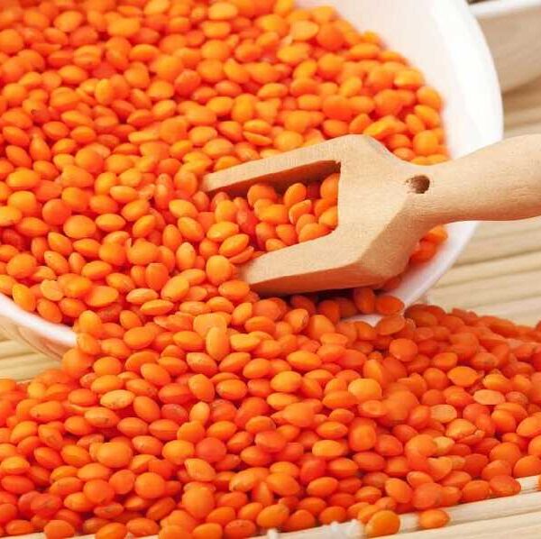 Mercimek Dökme 25 KG